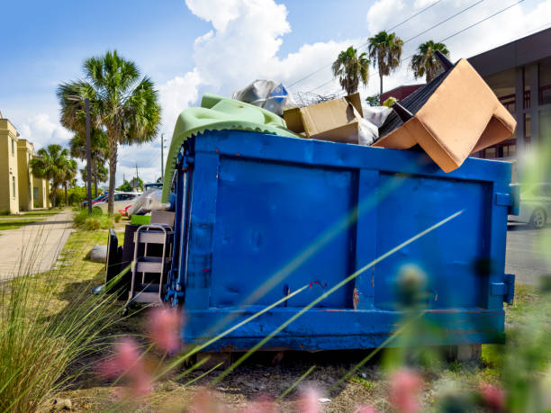Debris Removal in Moapa Valley, NV